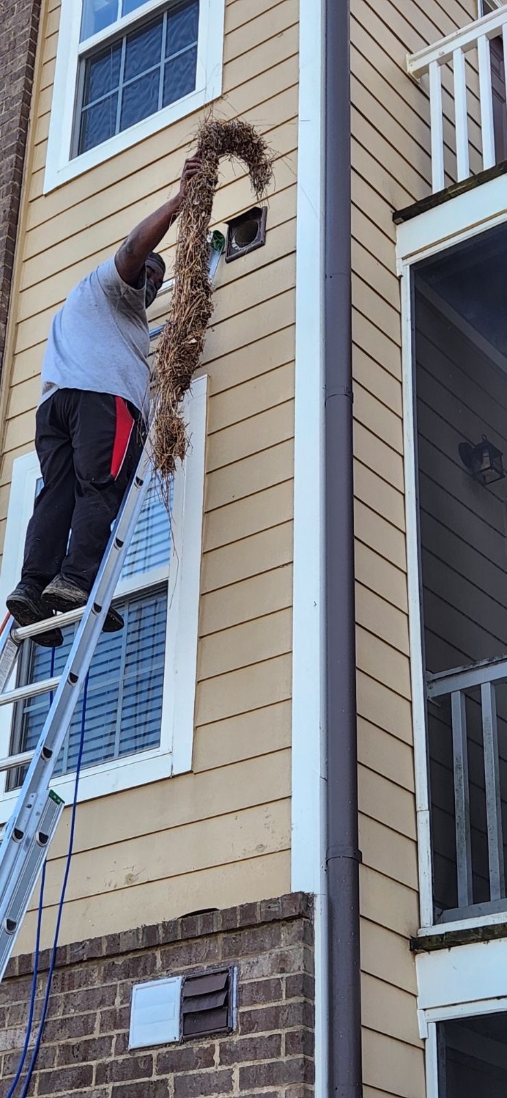 Dryer Vent Cleaning Services for Apartments